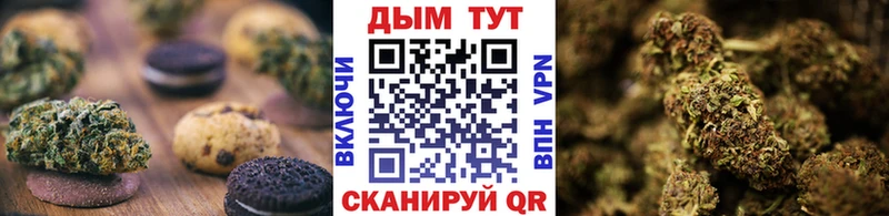 купить наркоту  Ельня  Cannafood марихуана 