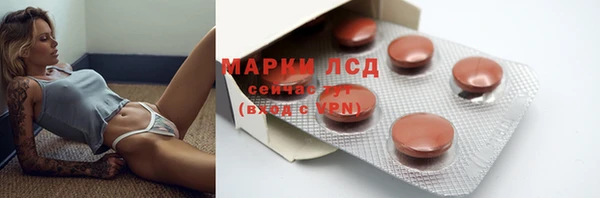 дмт Аркадак