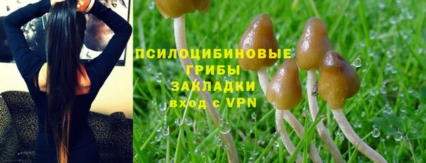 дмт Аркадак