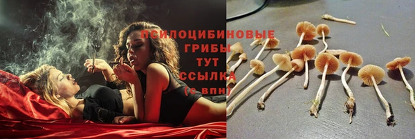 дмт Аркадак